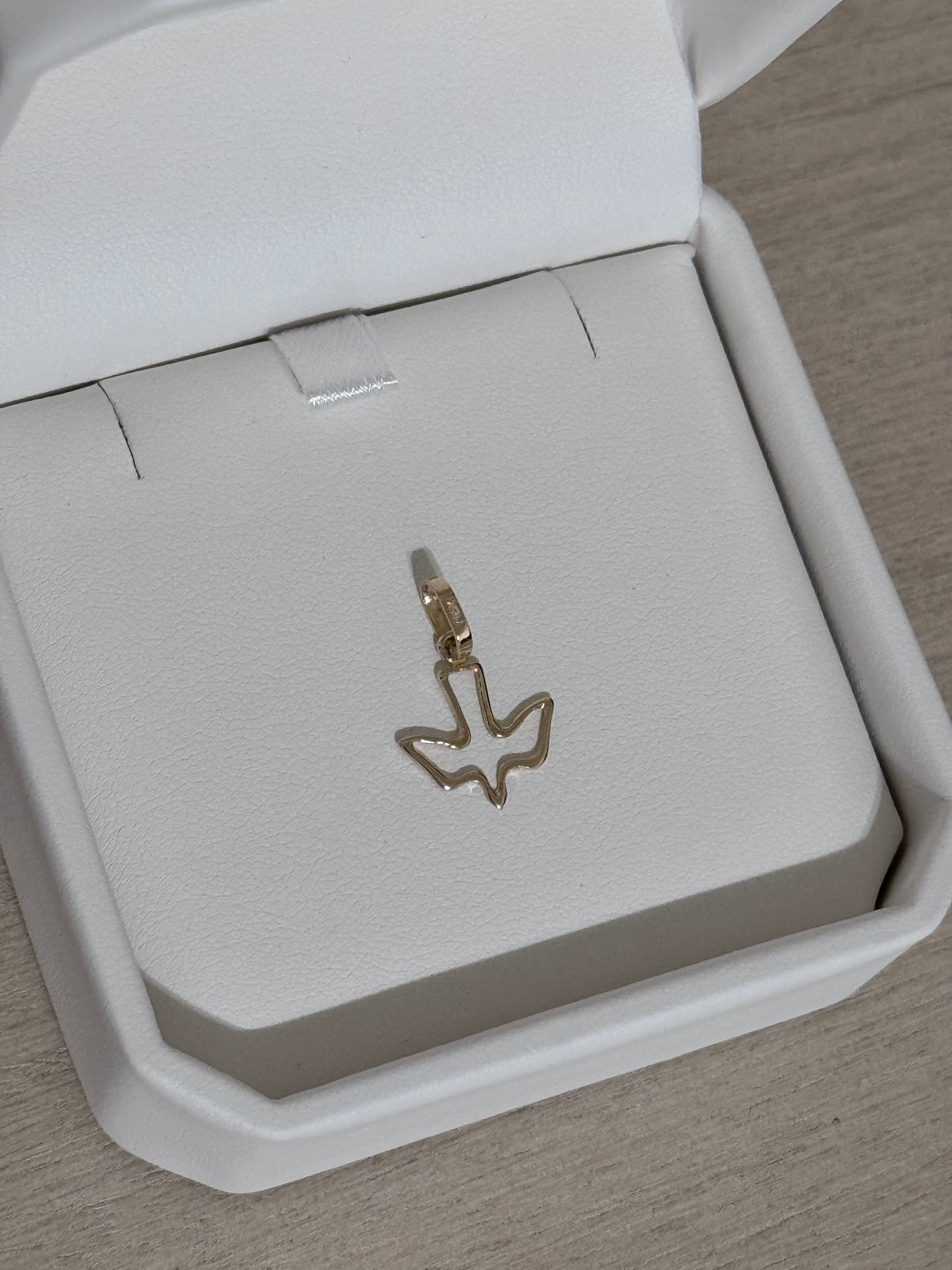 Medalla del Espíritu Santo Oro 14K