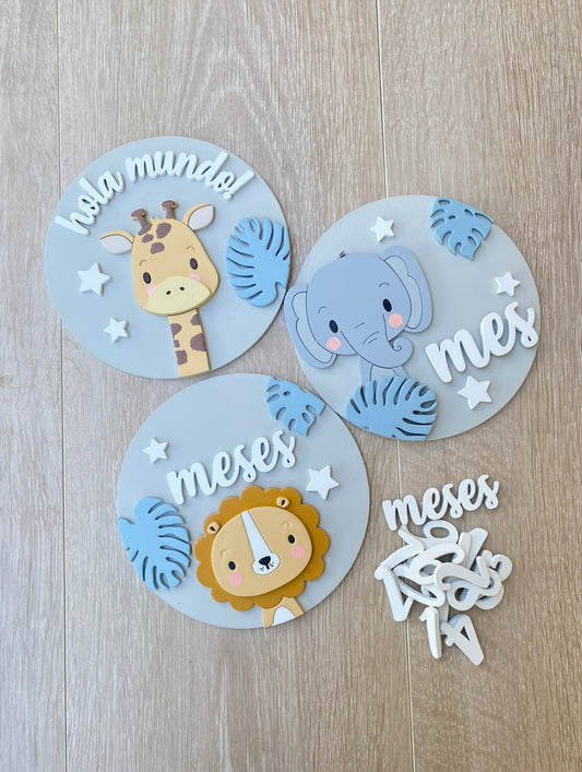 Set de Monthly Tags